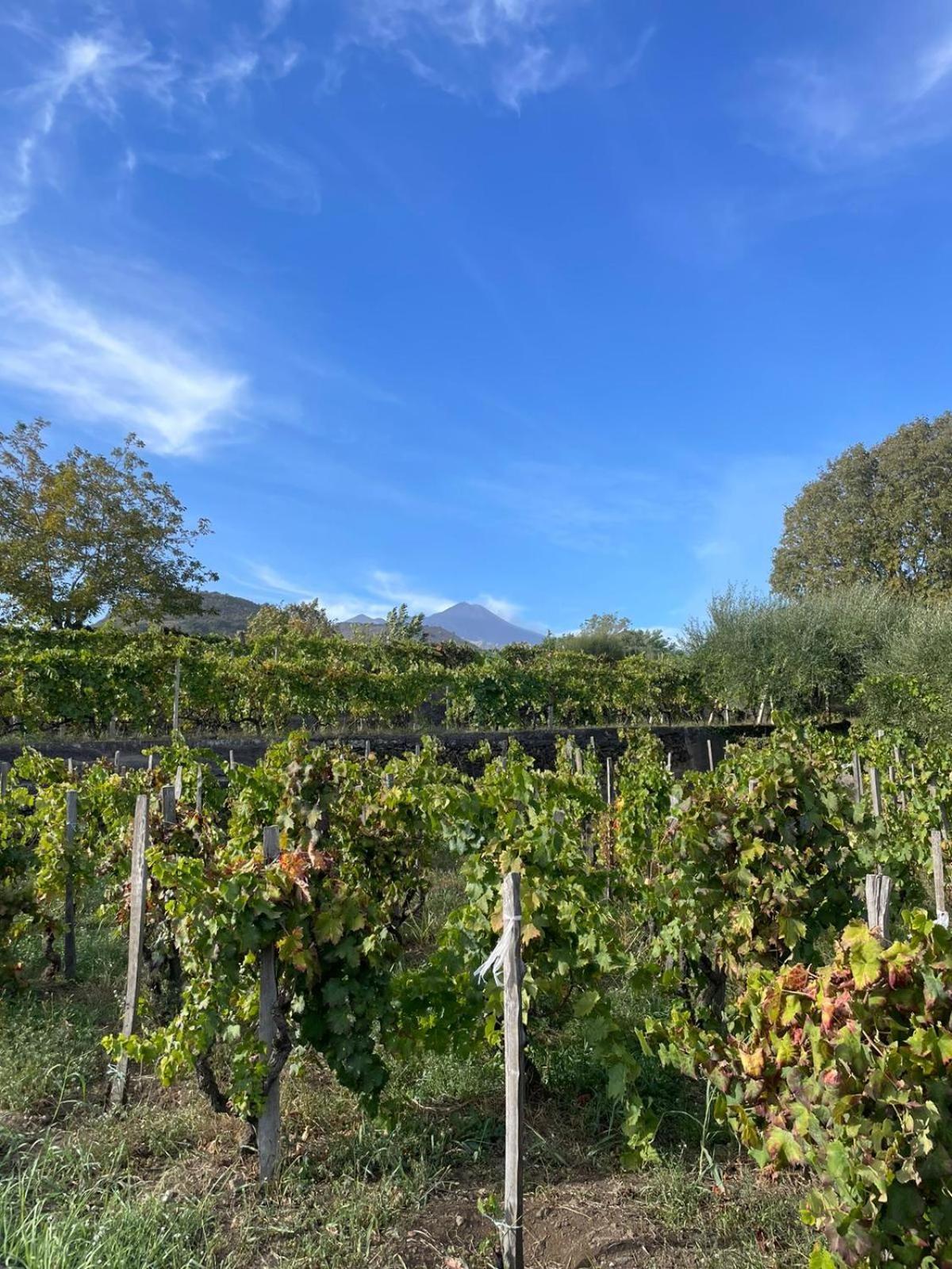 Le Dimore Del Corso II Ad Acireale Fra Catania, Taormina, Il Mare E L'Etna Exterior foto